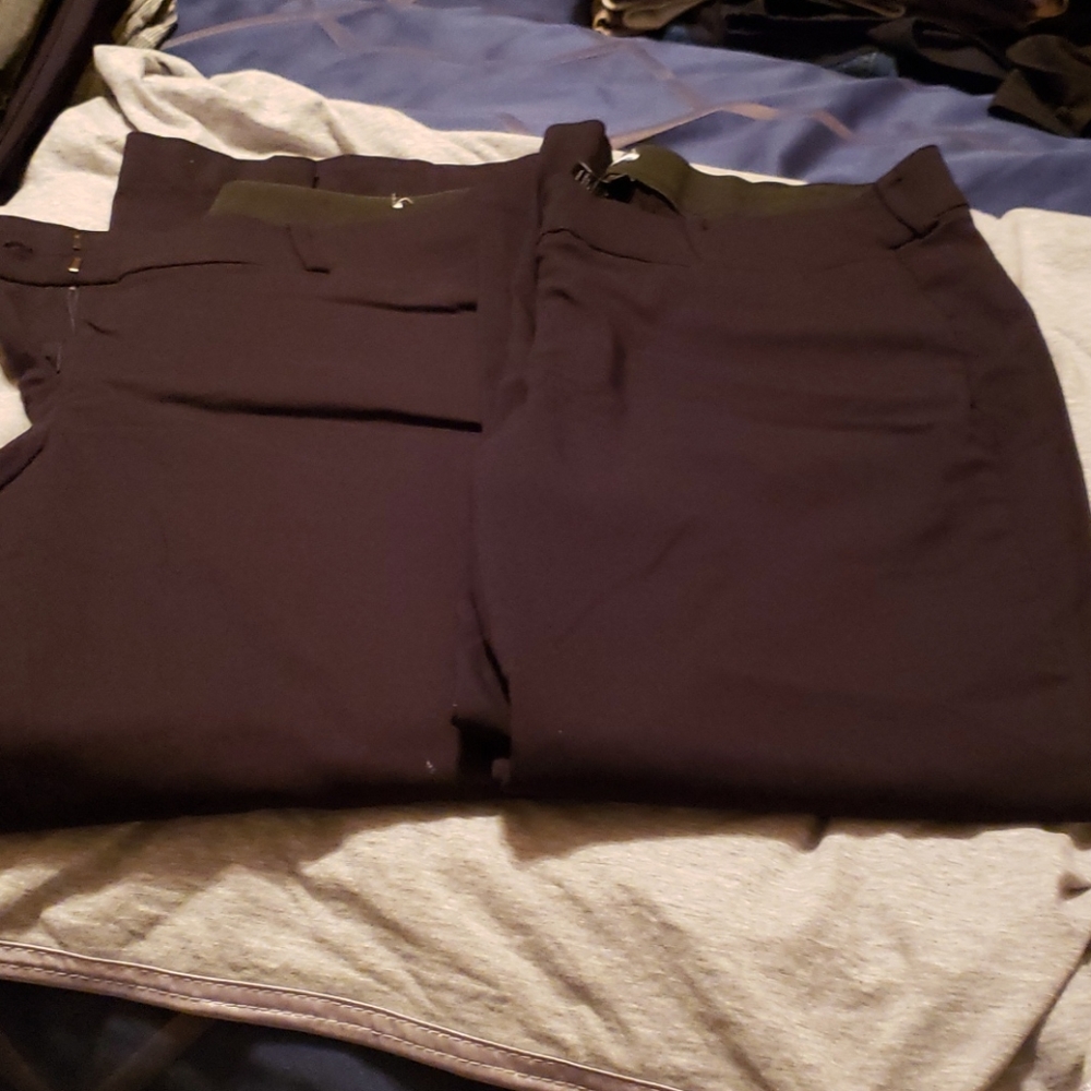 Size 18S black Lane Bryant "the allie" pant